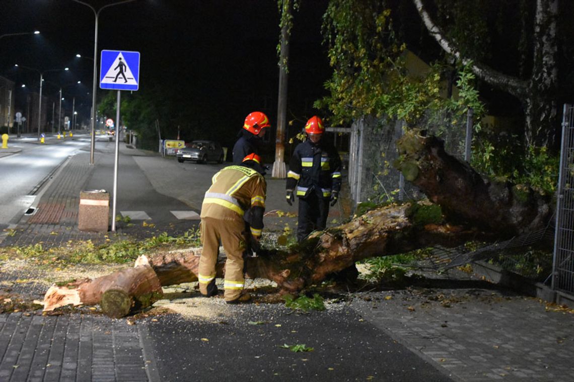 Nocna interwencja straży pożarnej. Na ulicę Kozielską zwaliło się drzewo