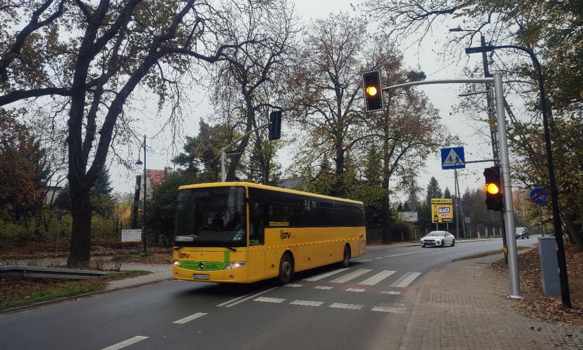 Nowe przejście z sygnalizacją świetlną w Koźlu. "Super ZEBRA" połączy dwie części parku