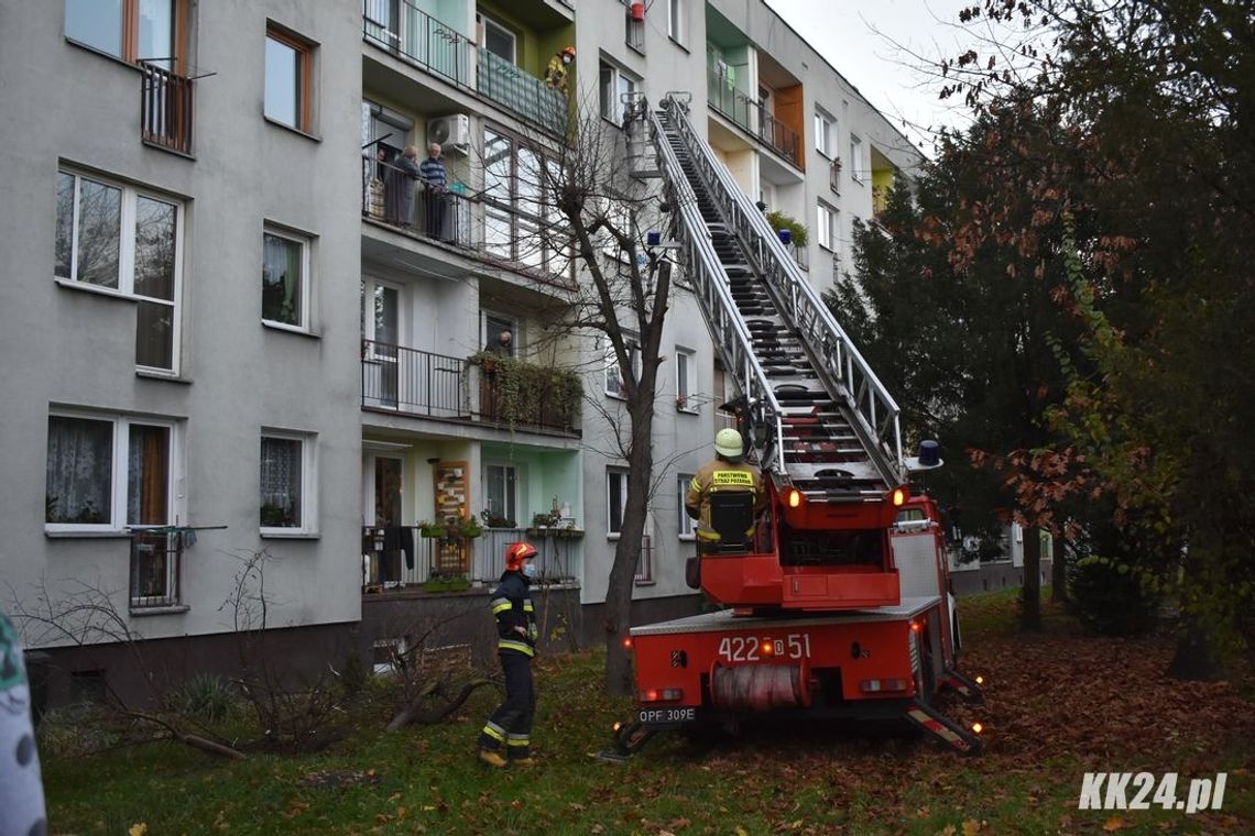 Od dłuższego czasu nie widziano starszej kobiety. Interwencja służb przy ulicy Józefa Bema