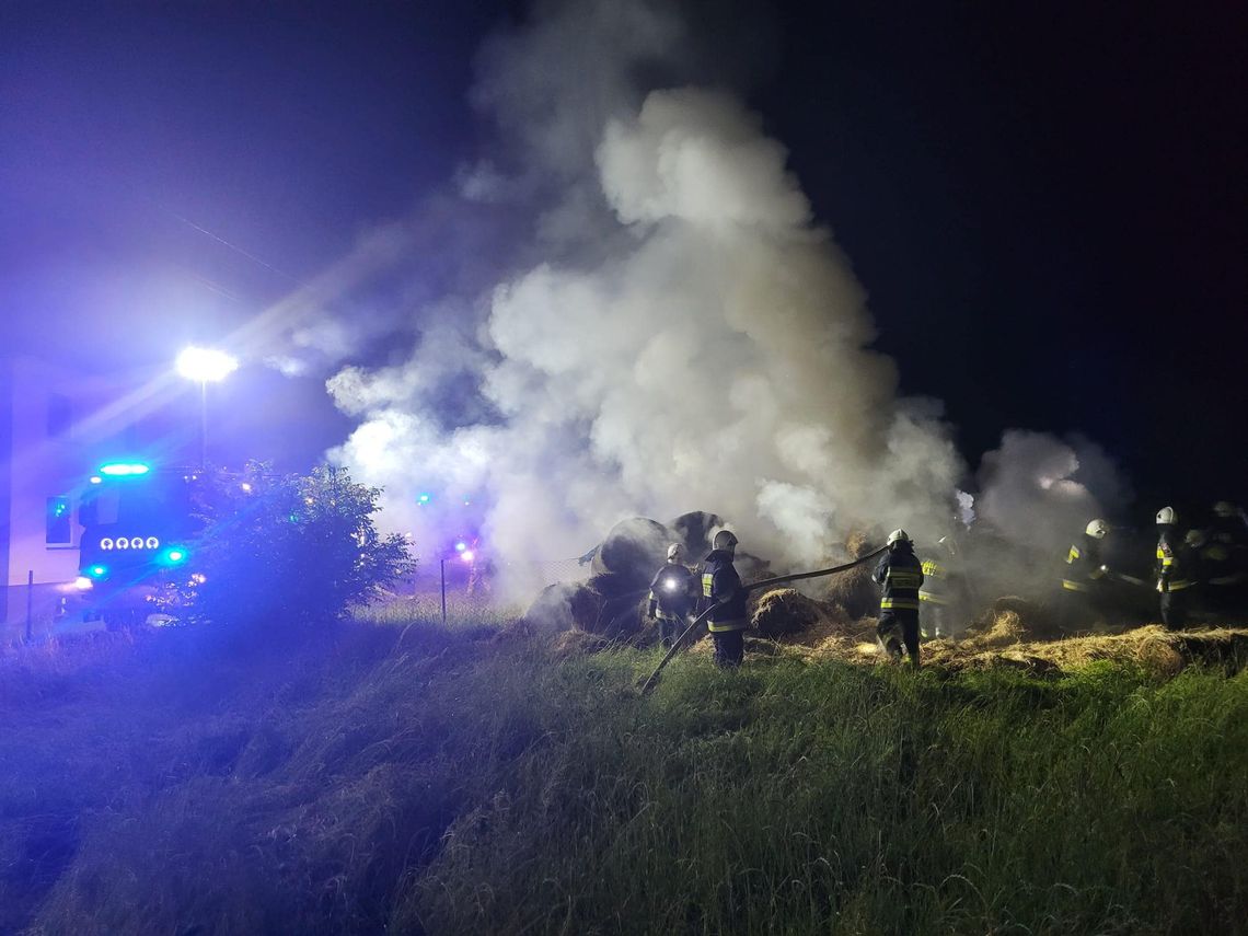 Od kłótni do pożaru. Służby ratunkowe interweniowały w Roszowickim Lesie