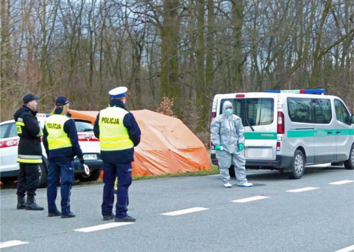 Od piątku nowe przepisy dla pracujących za granicą. Obowiązkowa kwarantanna po przekroczeniu granicy