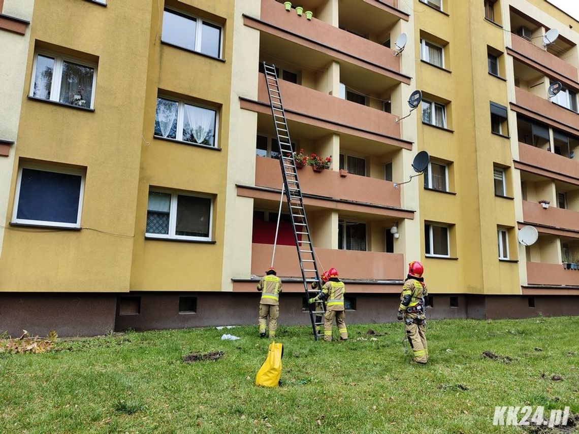 Od trzech tygodni mieszkańcy bloku nie mieli kontaktu z sąsiadką. Interwencja strażaków przy ulicy Władysława Grabskiego