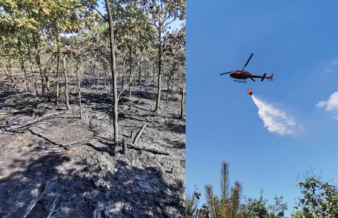 Około 70 arów lasu spłonęło w Kłodnicy. W akcji śmigłowiec gaśniczy