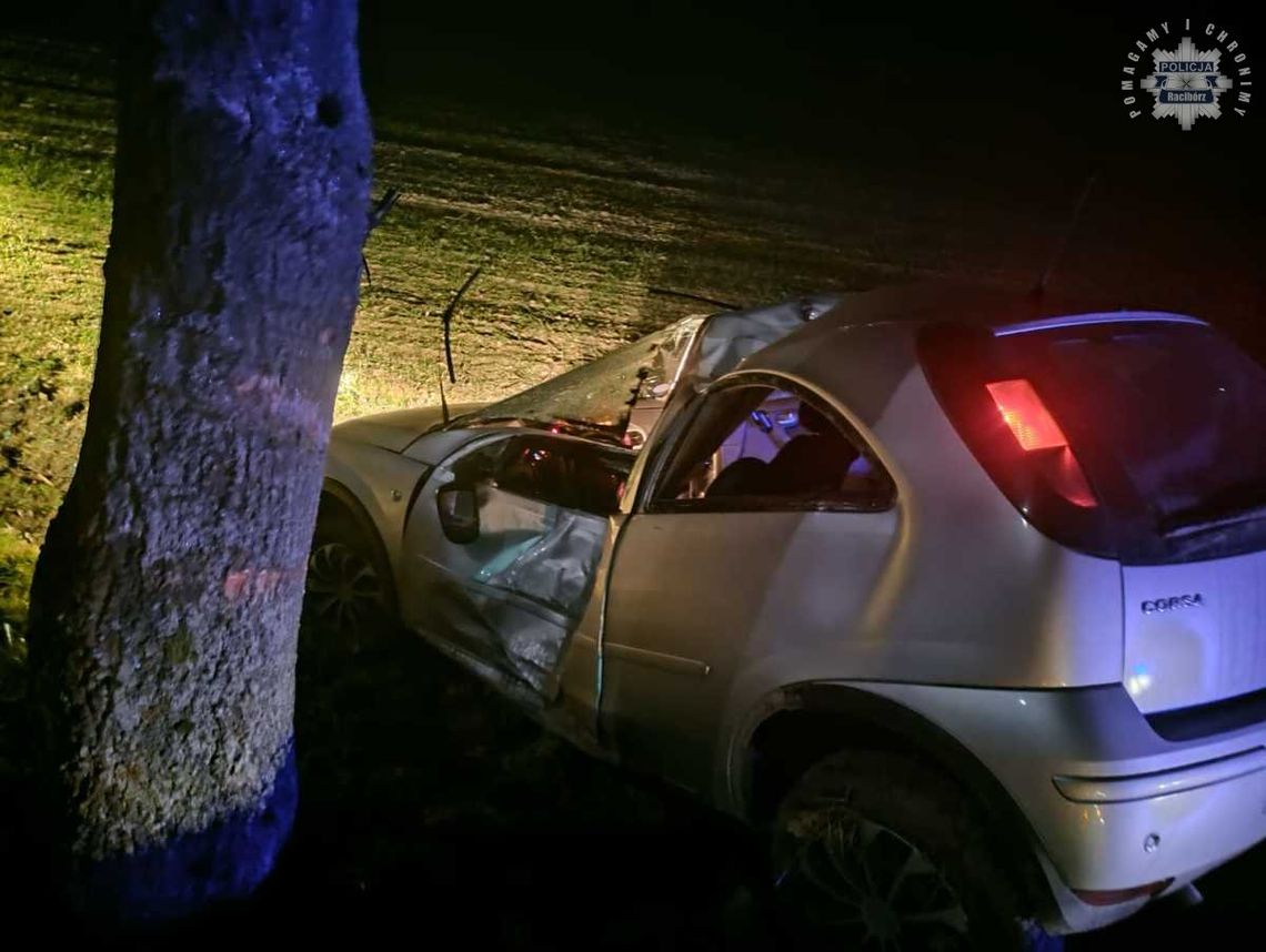 Opel zjechał z drogi i uderzył w drzewo. W wypadku ranny został 19-letni kierowca. ZDJĘCIA