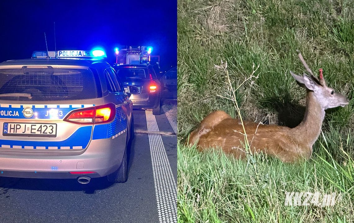 Osobówka zderzyła się z sarną. Służby ratunkowe interweniowały na nowej obwodnicy