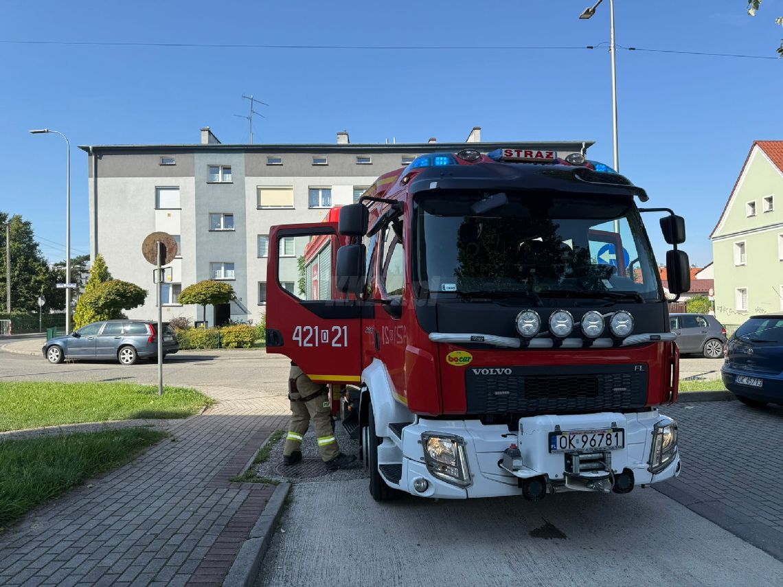 Otwarcie mieszkania na Pogorzelcu. Niestety, tym razem na pomoc było za późno Otwarcie mieszkania na Pogorzelcu. Niestety, tym razem na pomoc było za późno