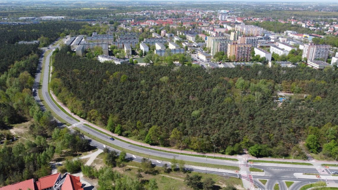 Park Orderu Uśmiechu czeka zmiana! Powstaną polany z budkami lęgowymi, łąki kwietne i ścieżki edukacyjne