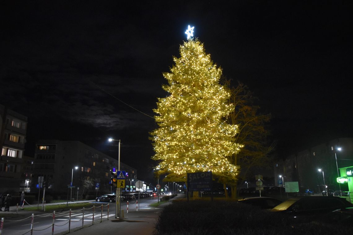 Piękna żywa choinka na osiedlu Piastów-Powstańców Śląskich. Dzisiaj została rozświetlona tysiącami lampek Piękna żywa choinka na osiedlu Piastów-Powstańców Śląskich. Dzisiaj została rozświetlona tysiącami lampek