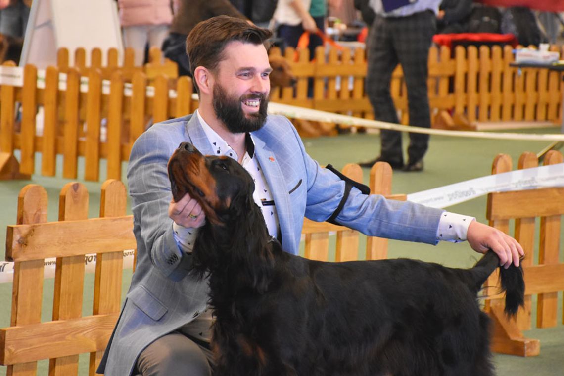 Piękne psy i ich dumni właściciele. Zobaczcie zdjęcia z wystawy w Zakrzowie