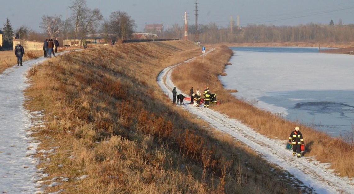 Pod spacerującym psem załamał się lód. Akcja ratunkowa na Odrze w Koźlu