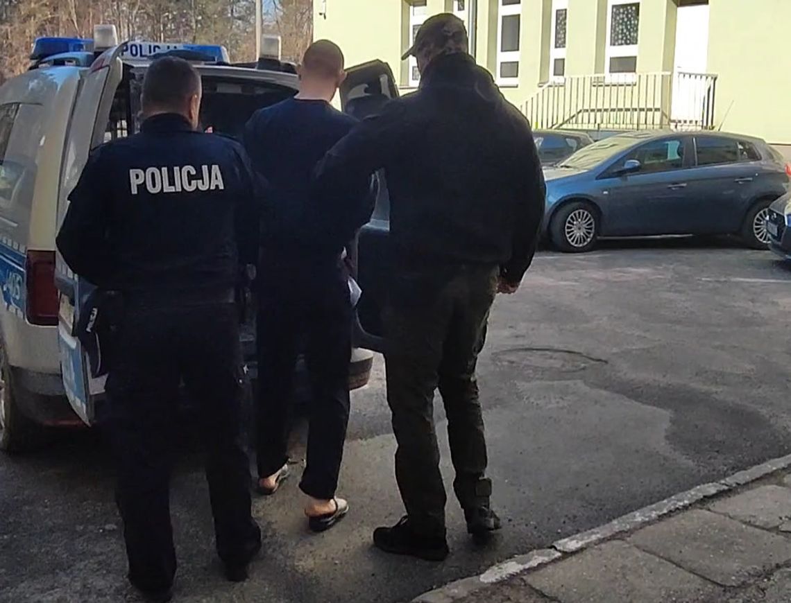 Podejrzany o zamordowanie 29-latki trafił do aresztu. Mężczyzna próbował ukryć się na Dolnym Śląsku
