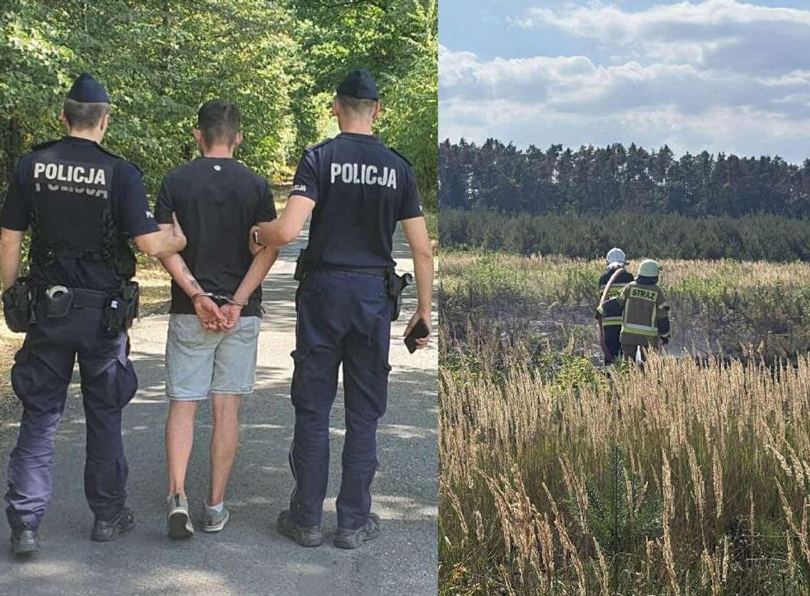 Podpalacz aresztowany. Odpowie przed sądem za pożar lasu