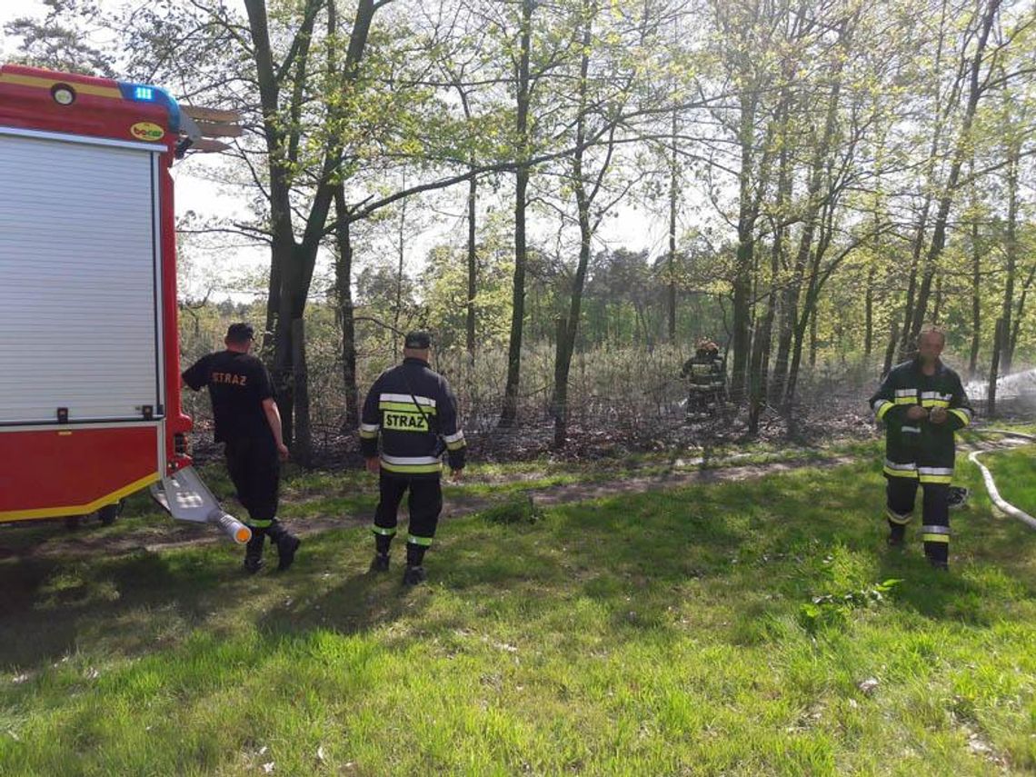 Podpalacz igra z ogniem. Dwa pożary tego samego lasu w ciągu dwóch dni. ZDJĘCIA