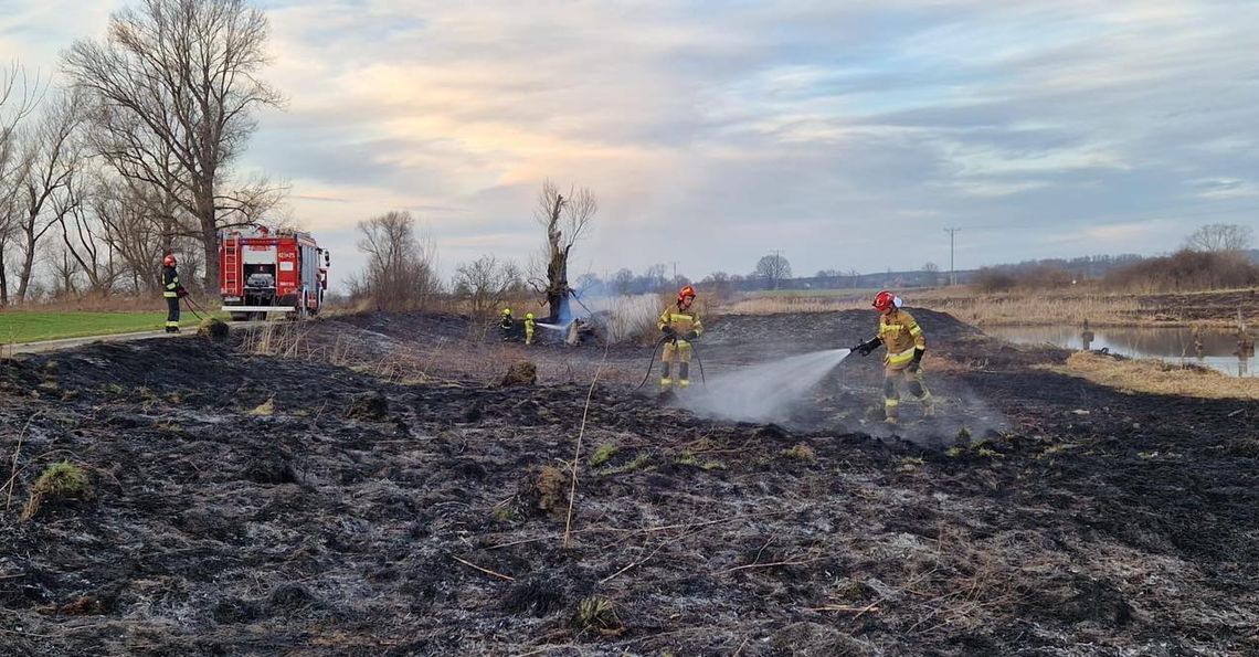 Podpalacz z gminy Polska Cerekiew nie odpuszcza. W dwa tygodnie odnotowano aż 13 pożarów