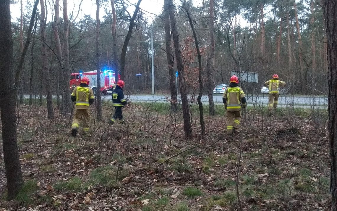 Podpalenie poszycia leśnego przy alei Lisa. Interwencja straży pożarnej