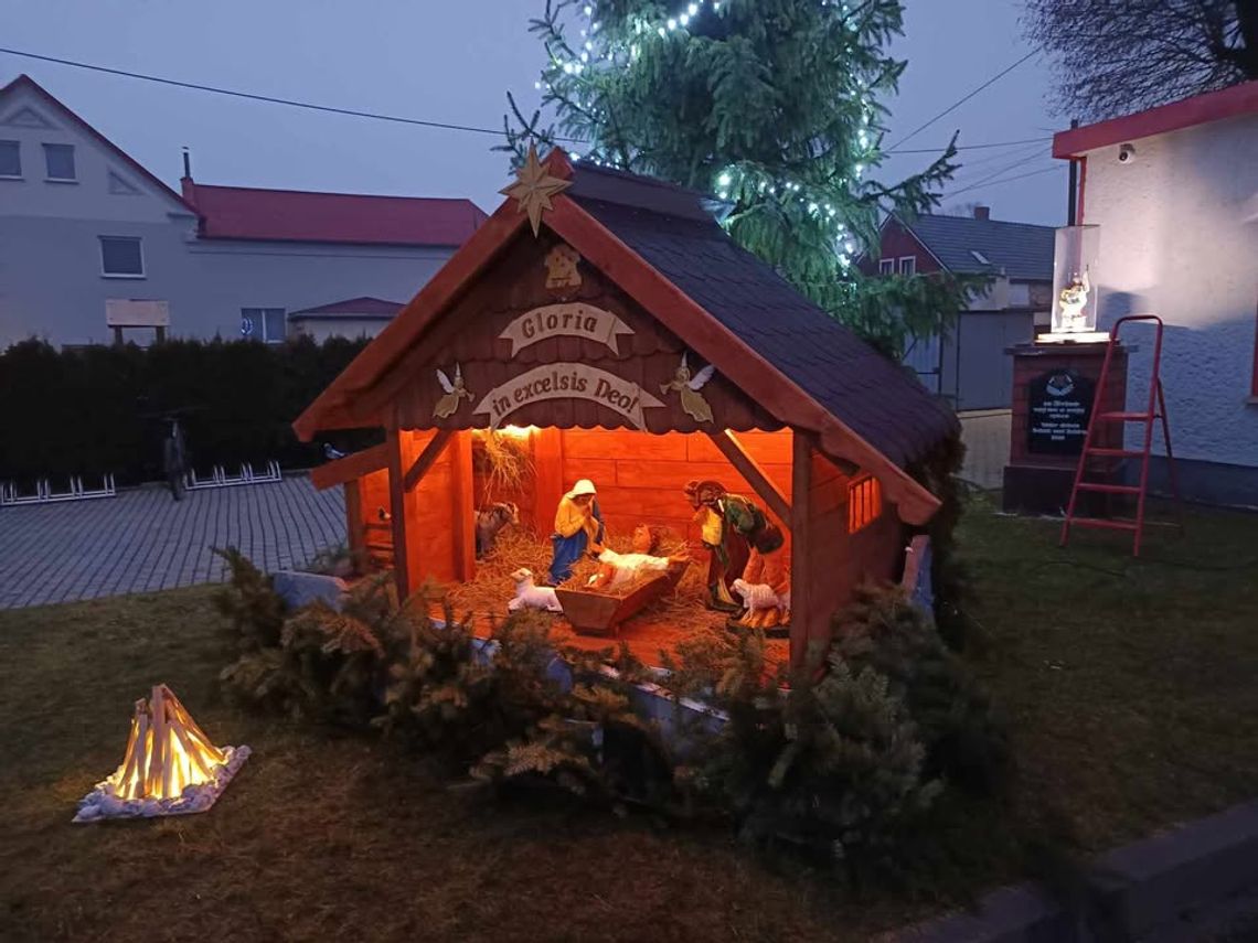 Pokrzywnica lśni świątecznym blaskiem! Druhowie zbudowali stajenkę, która ma zjednoczyć całą społeczność