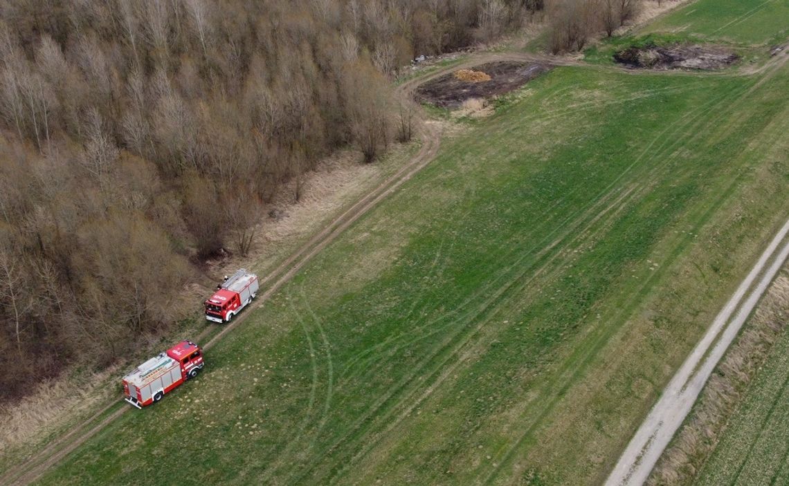 Pola i trawy znowu w ogniu. Strażacy interweniowali w Kobylicach