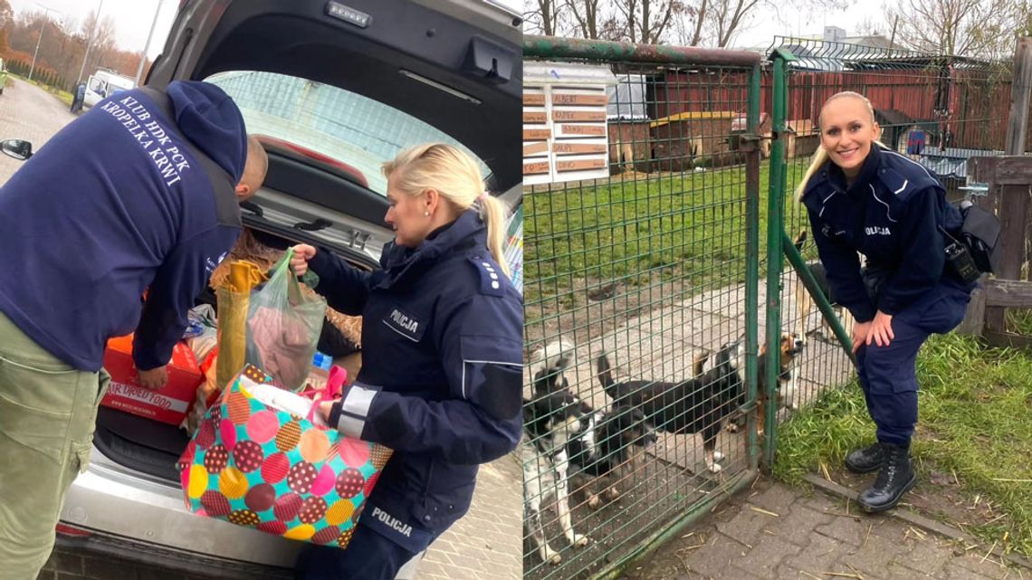 Policjanci z Kędzierzyna-Koźla dołączyli do akcji dla schroniska. Zebrali karmę i najpotrzebniejsze artykuły