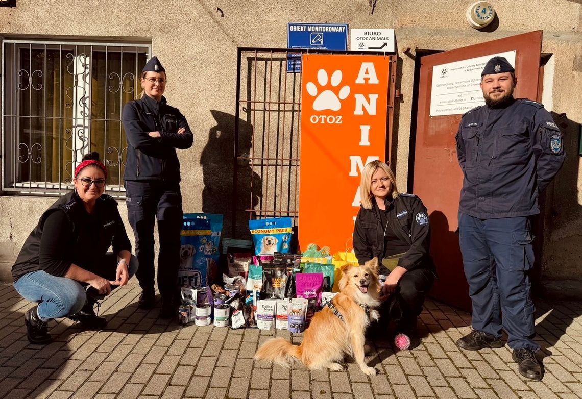 Policjanci z Kędzierzyna-Koźla zorganizowali zbiórkę darów dla bezdomnych zwierząt Policjanci z Kędzierzyna-Koźla zorganizowali zbiórkę darów dla bezdomnych zwierząt