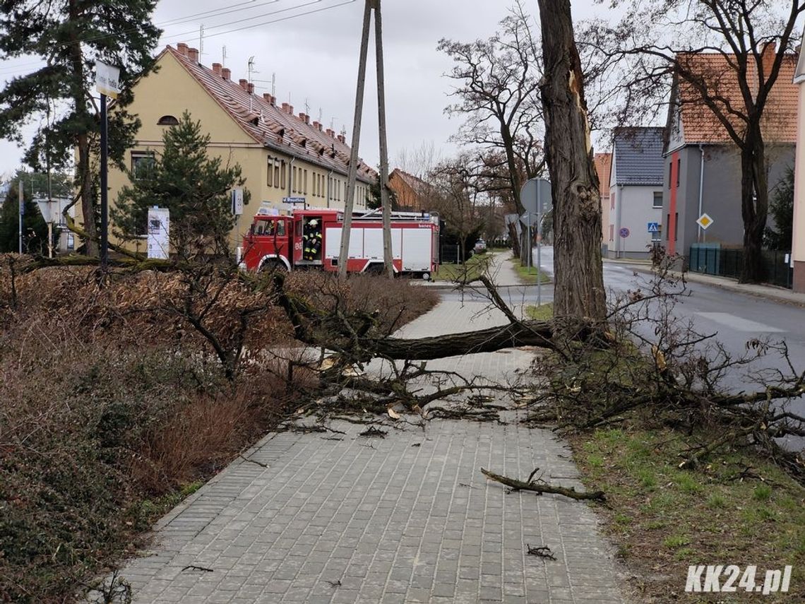 Ponad 600 interwencji w regionie i 40 w powiecie. Strażacy usuwają skutki silnych wiatrów