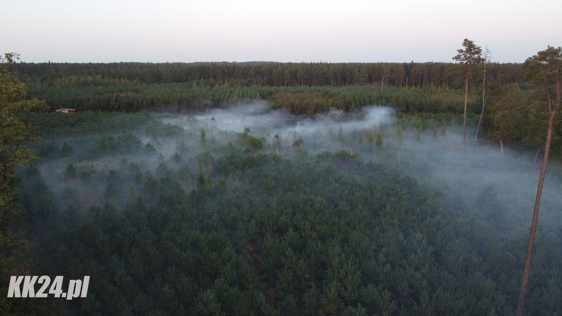 Ponownie płonie las w Kłodnicy. Na miejscu wiele zastępów straży i samolot gaśniczy