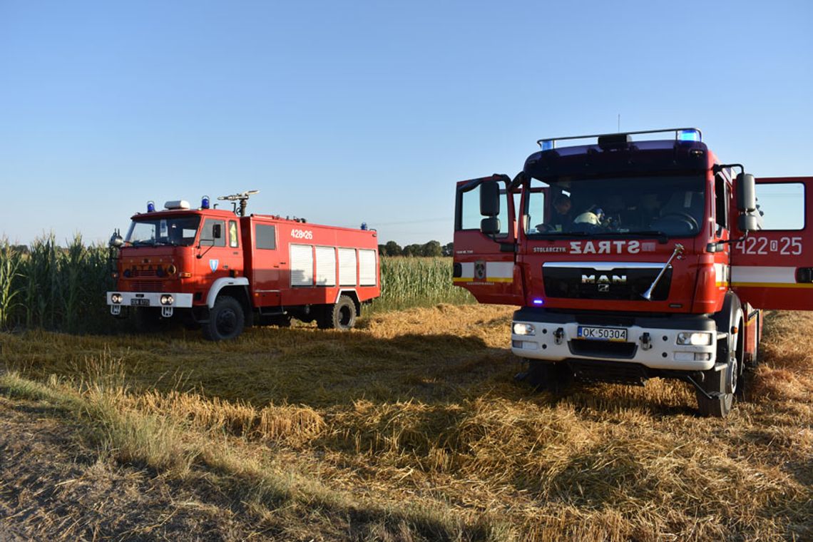 Poparzenia drugiego stopnia rąk, nóg oraz twarzy. Mężczyzna ucierpiał podczas pożaru ścierniska