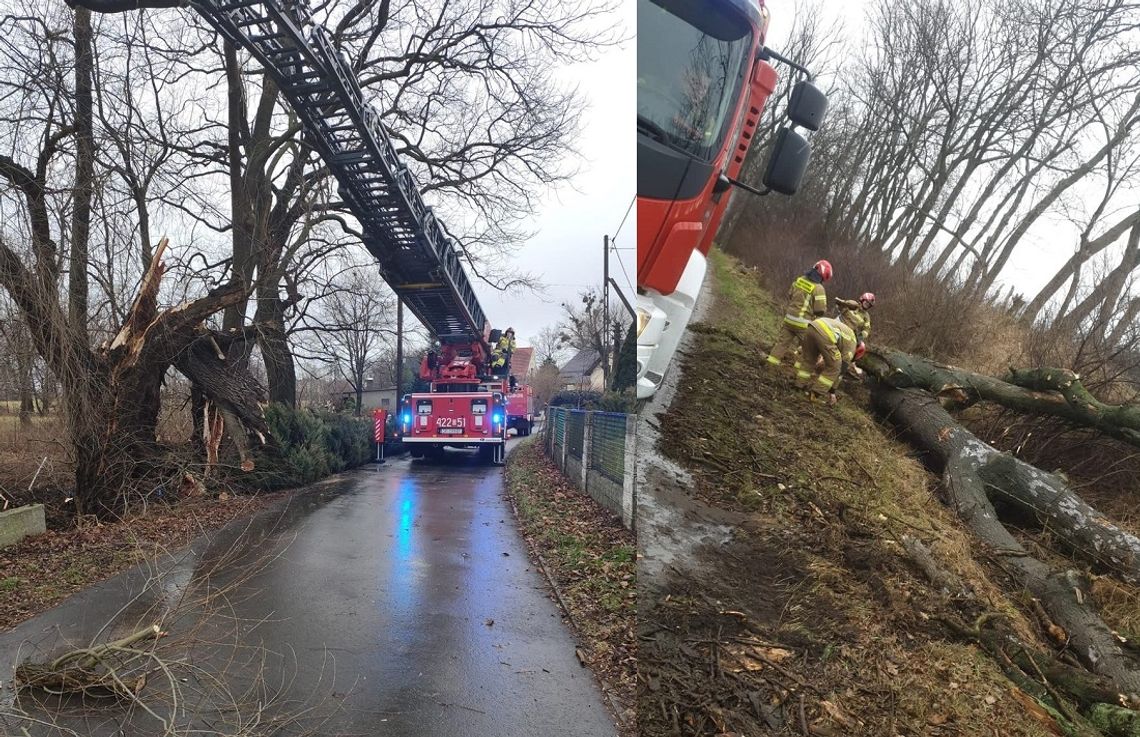 Powalone drzewa na drogach powiatu. Strażacy usuwają skutki wichury
