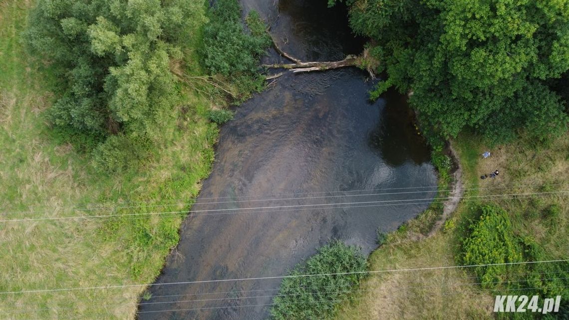 Powalone drzewo w korycie rzeki Kłodnica zmienia linię brzegową. Mieszkańcy proszą o interwencję