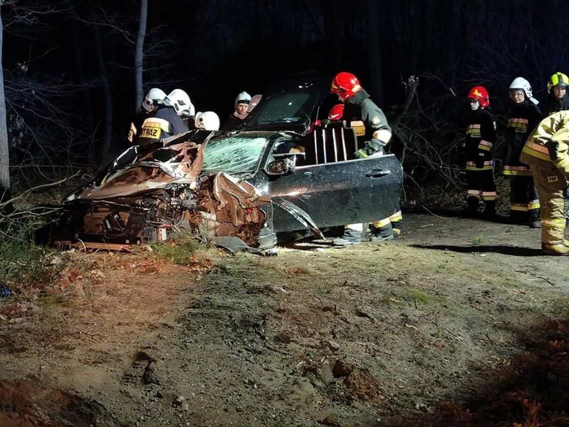 Poważny wypadek na drodze wojewódzkiej. Jaguar wypadł z drogi i wbił się w drzewo. ZDJĘCIA