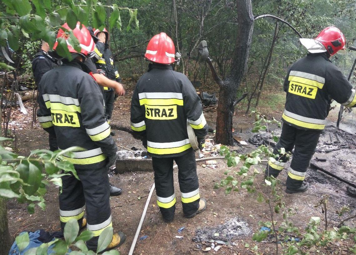 Pożar koczowiska w lesie przy Inparco. W akcji trzy zastępy straży pożarnej