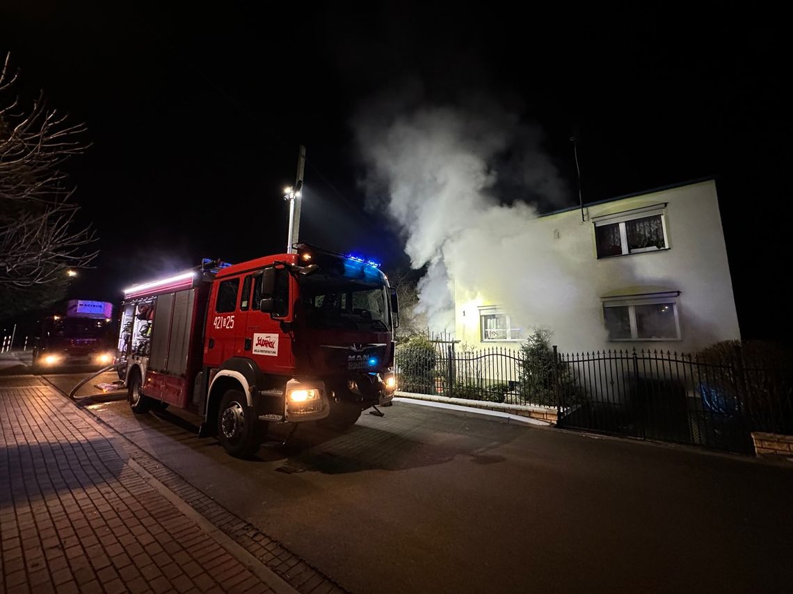 Pożar kotłowni na osiedlu Kuźniczka. Strażacy uratowali dwa psy z zadymionego budynku