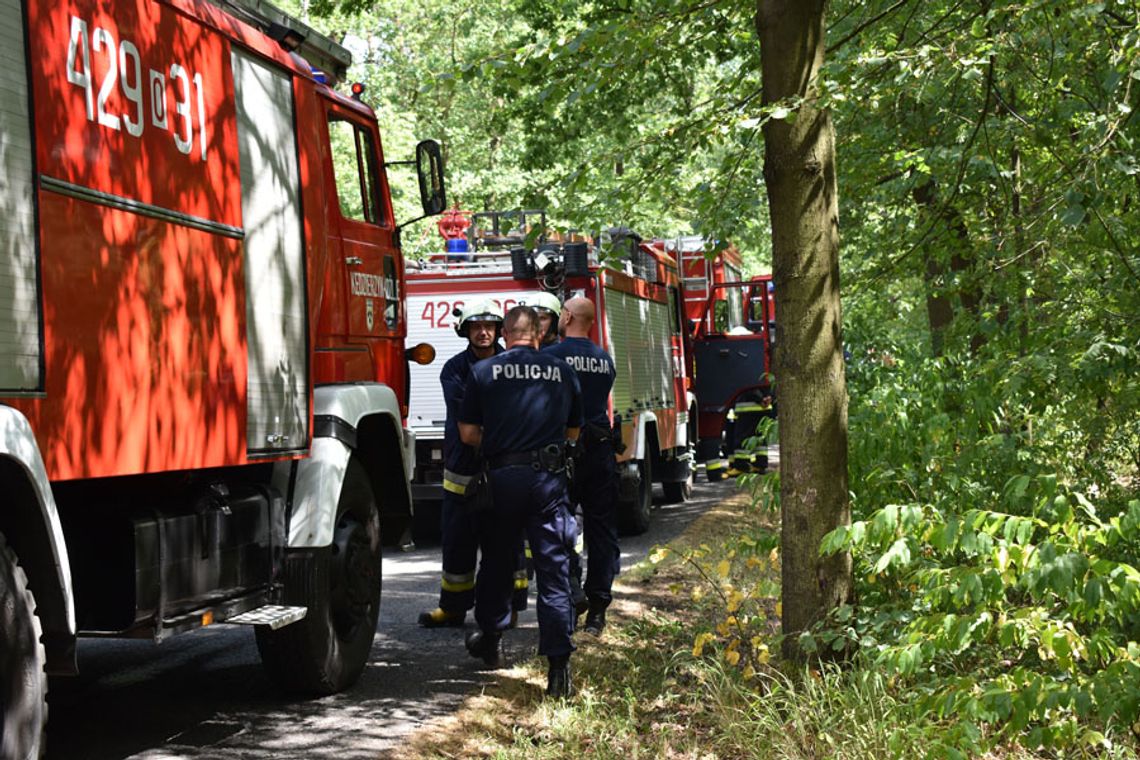 Pożar lasu między Cisową a Lenartowicami. Interwencja straży pożarnej