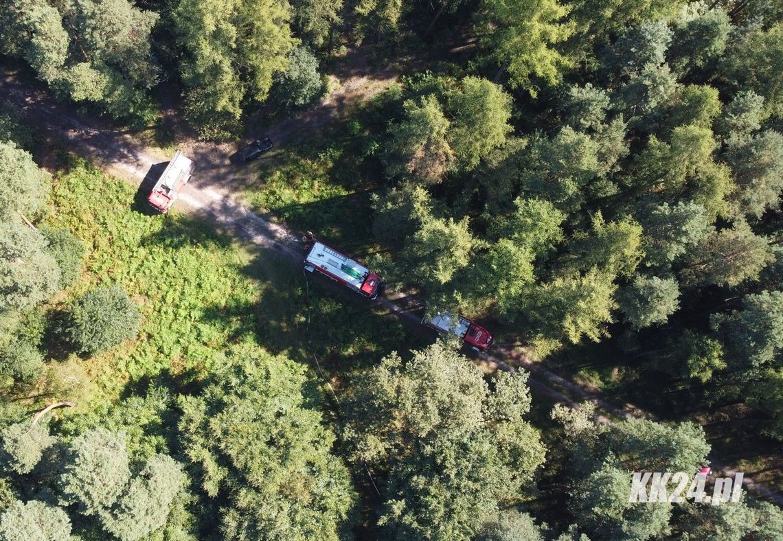 Pożar lasu pomiędzy Kłodnicą a Raszową. Na miejscu wiele zastępów straży pożarnej