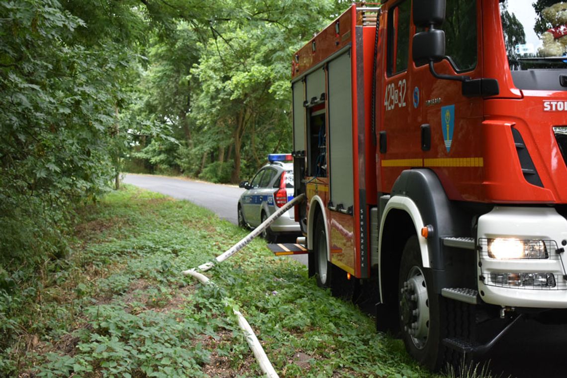 Pożar lasu przy jeziorze w Dębowej. Przyczyną niedogaszone ognisko