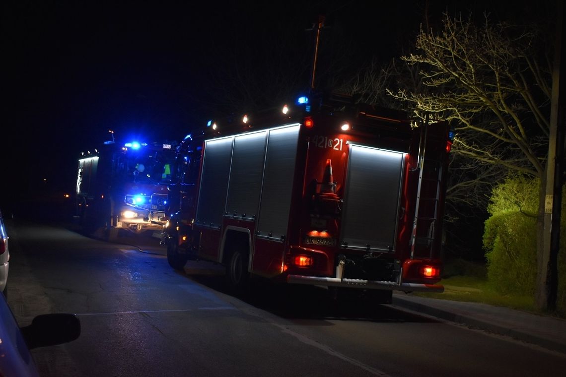 Pożar na terenie ogródków działkowych w Lenartowicach. Nocna interwencja straży pożarnej