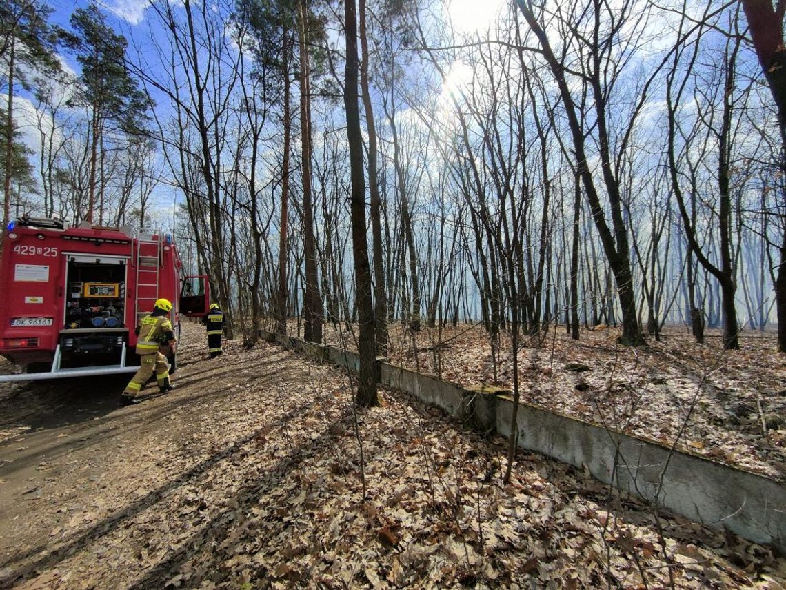 Pożar w lesie za Inparco. Słup dymu jest widoczny z daleka, ogień gaszony jest z ziemi i powietrza