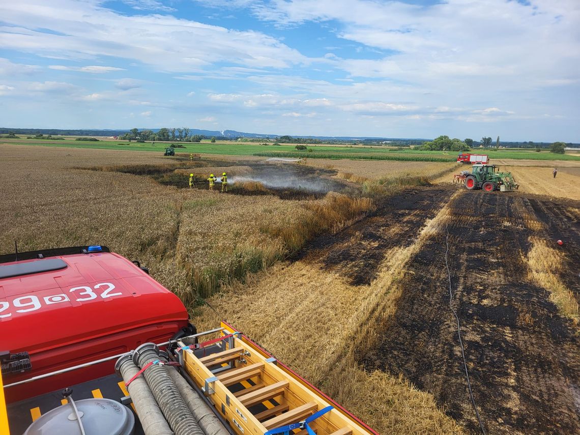 Pożar zboża na polu w Większycach. Szybka reakcja strażaków zapobiegła rozprzestrzenieniu ognia