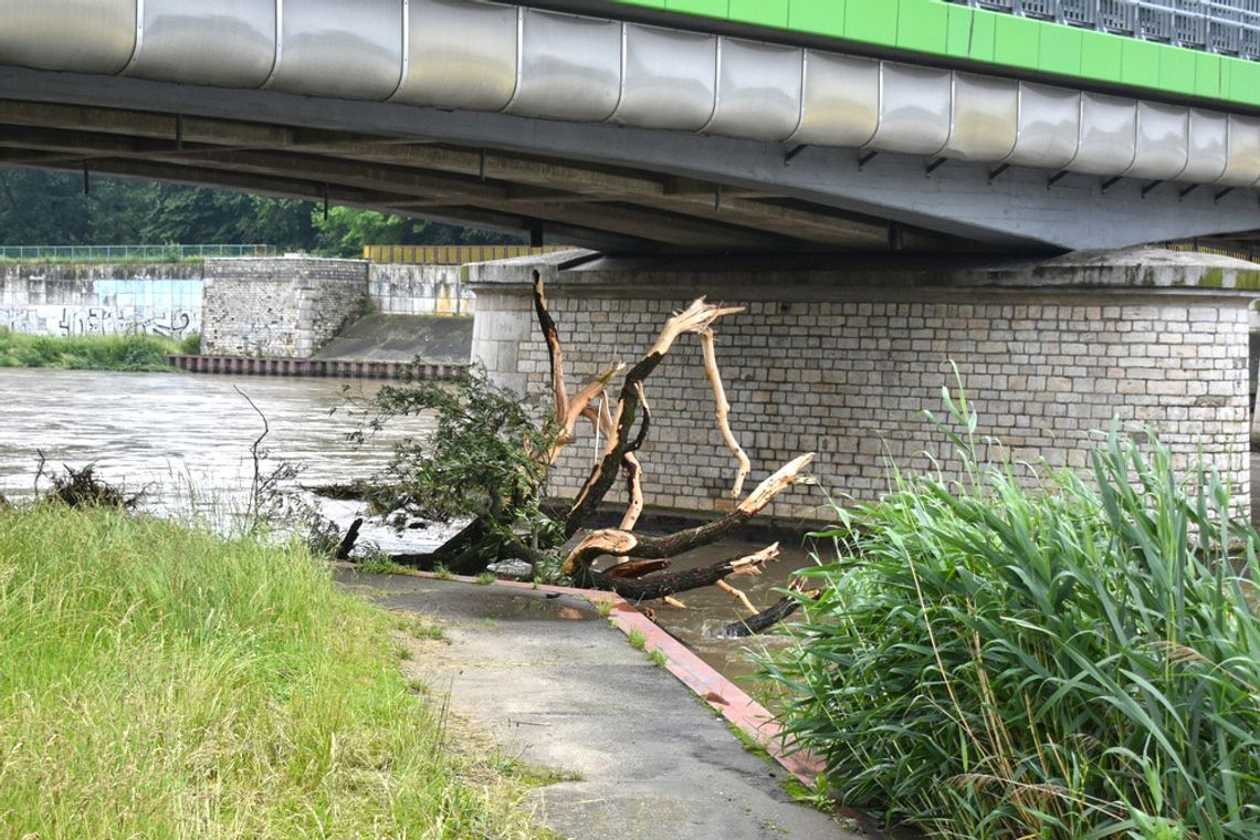 Poziom wody w Odrze ciągle rośnie. Odcinkowo może osiągnąć stan alarmowy