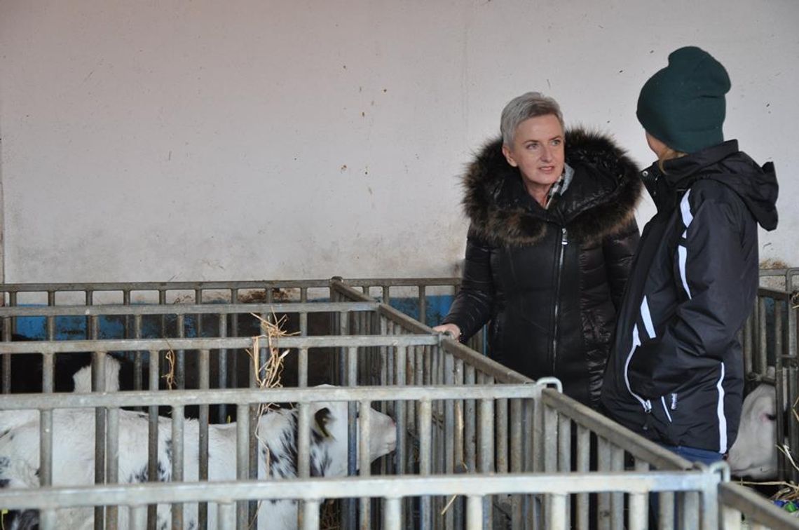 Prezydent Sabina Nowosielska z wizytą u miejskich rolników. Specjaliści od mleka