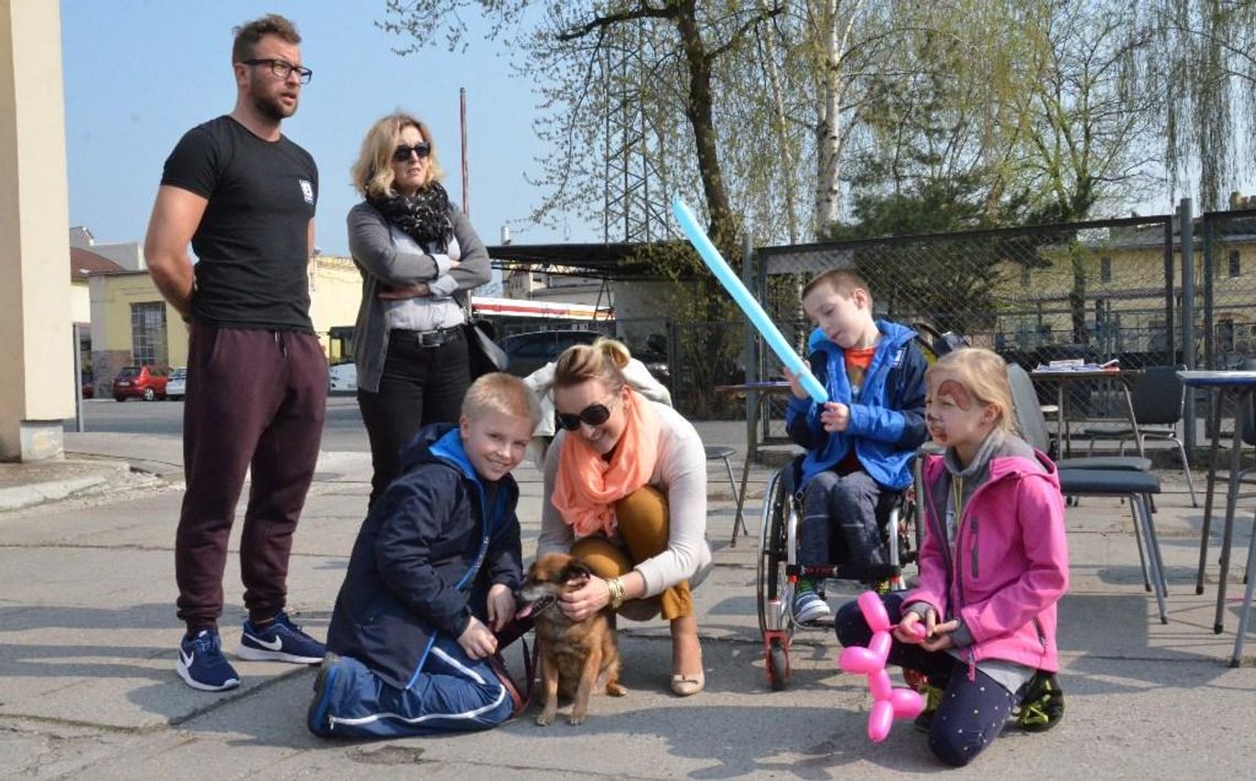 Przystanek podaj łapę! MZK wraz ze schroniskiem namawiają do adopcji zwierząt. ZDJĘCIA