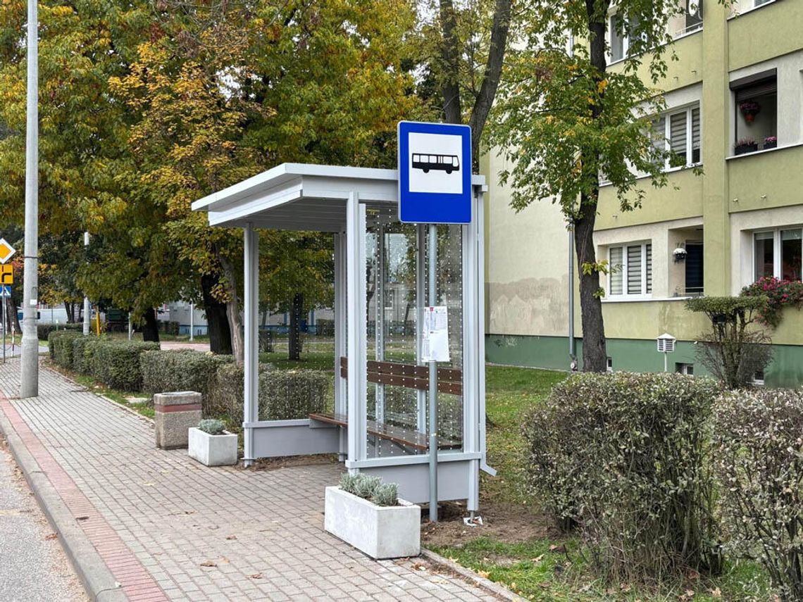 Przystanek z "żywym dachem" przy ulicy Stalmacha. Jest obsadzony specjalnymi gatunkami roślin