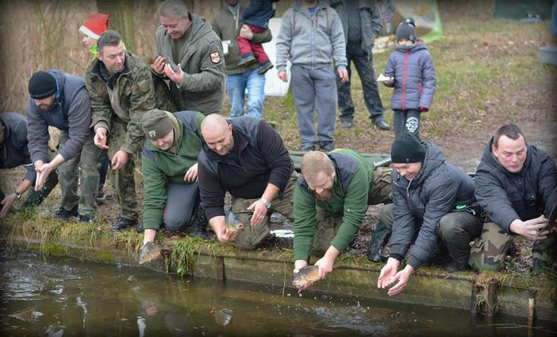 Ratowali wigilijne karpie. Niecodzienna akcja na jeziorze w Miejscu Kłodnickim