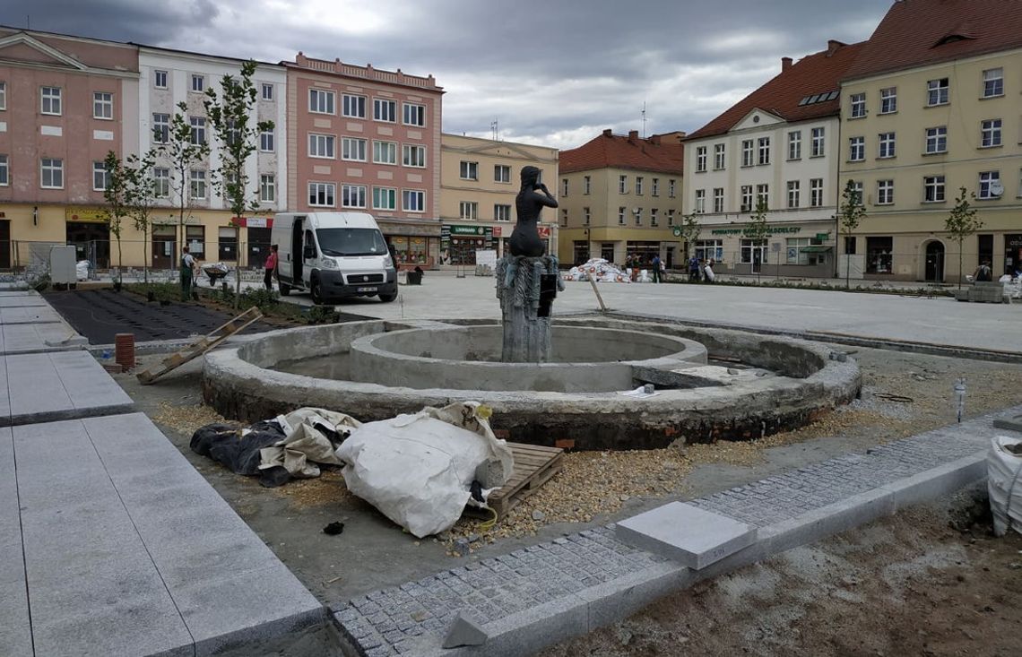 Remont rynku na ostatniej prostej. Nowe drzewa już rosną, będzie też dużo kwiatów i krzewów. ZDJĘCIA