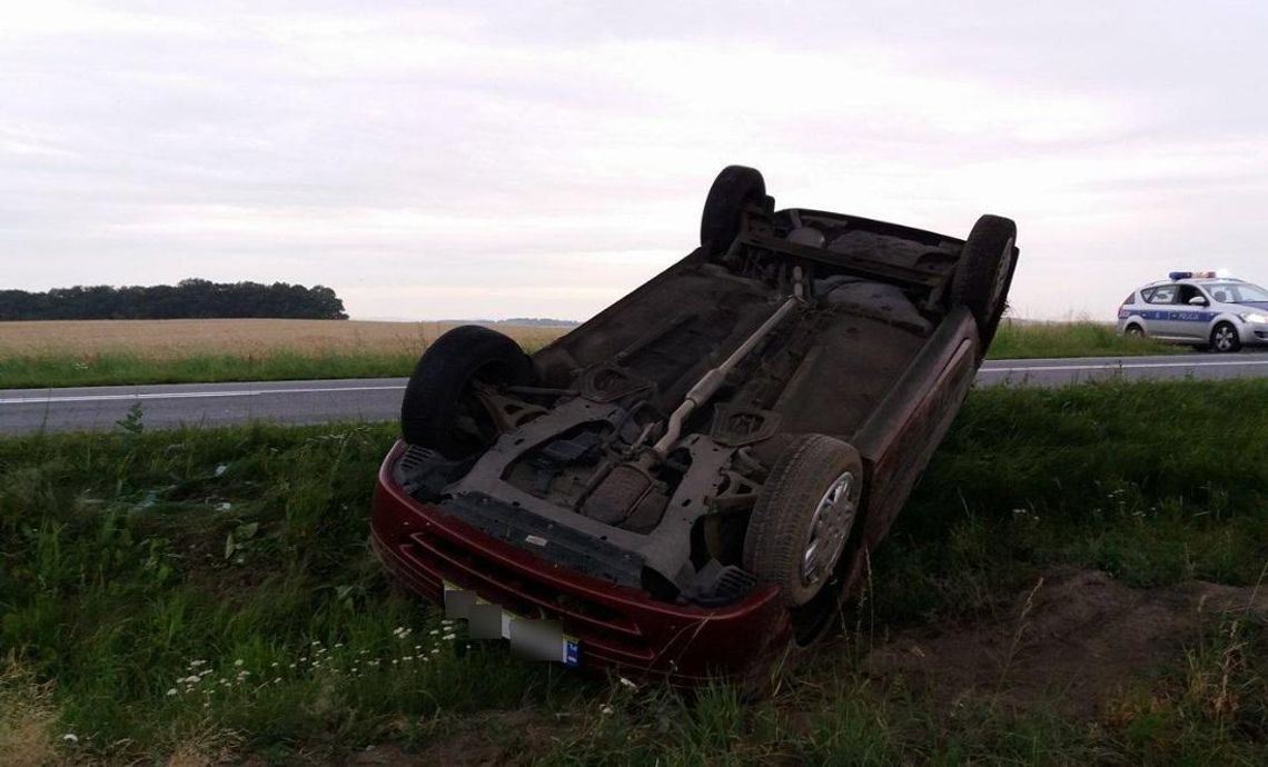 Renault dachowało na drodze krajowej nr 45. Kierowcę zgubiła nadmierna prędkość