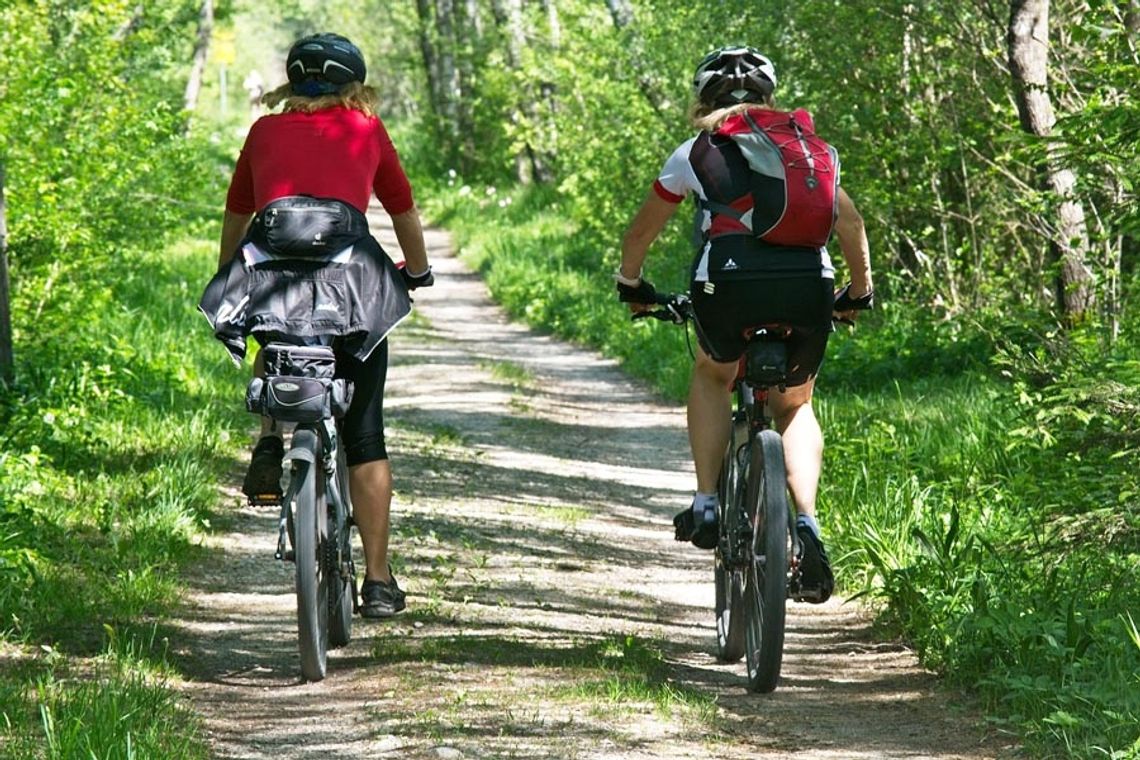 Rowerem po naszych lasach. Miejski Ośrodek Sportu i Rekreacji zaprasza na 40-kilometrowy rajd