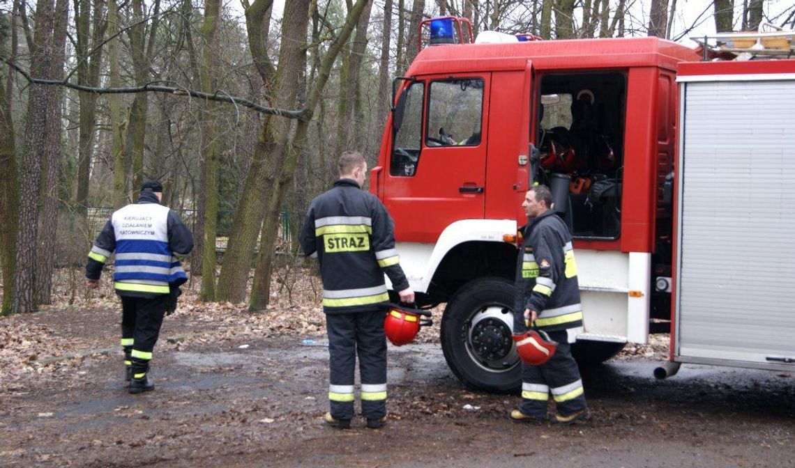 Sarna utknęła w ogrodzeniu cmentarza żołnierzy radzieckich. Pomogli strażacy