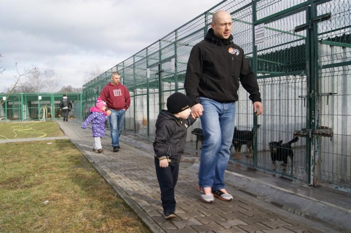 Schronisko dla bezdomnych zwierząt ma swojego kierownika. To człowiek z zewnątrz