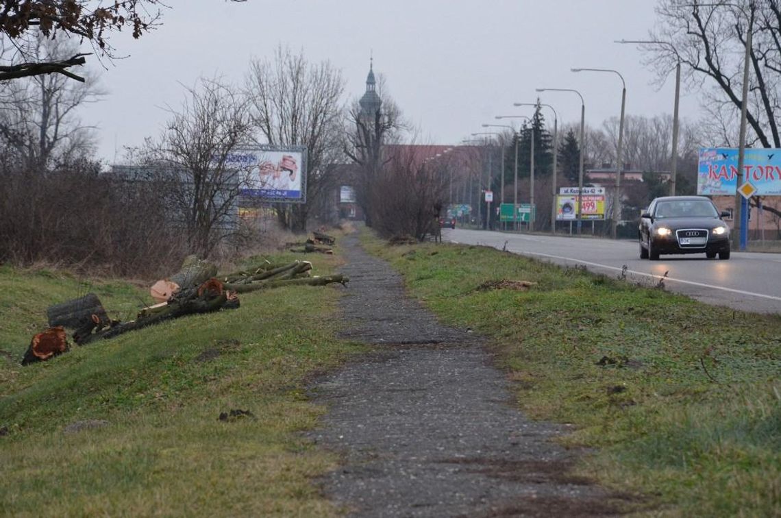 Ścieżka rowerowa z Kłodnicy do Koźla doczeka się remontu. Niebawem przetarg na roboty