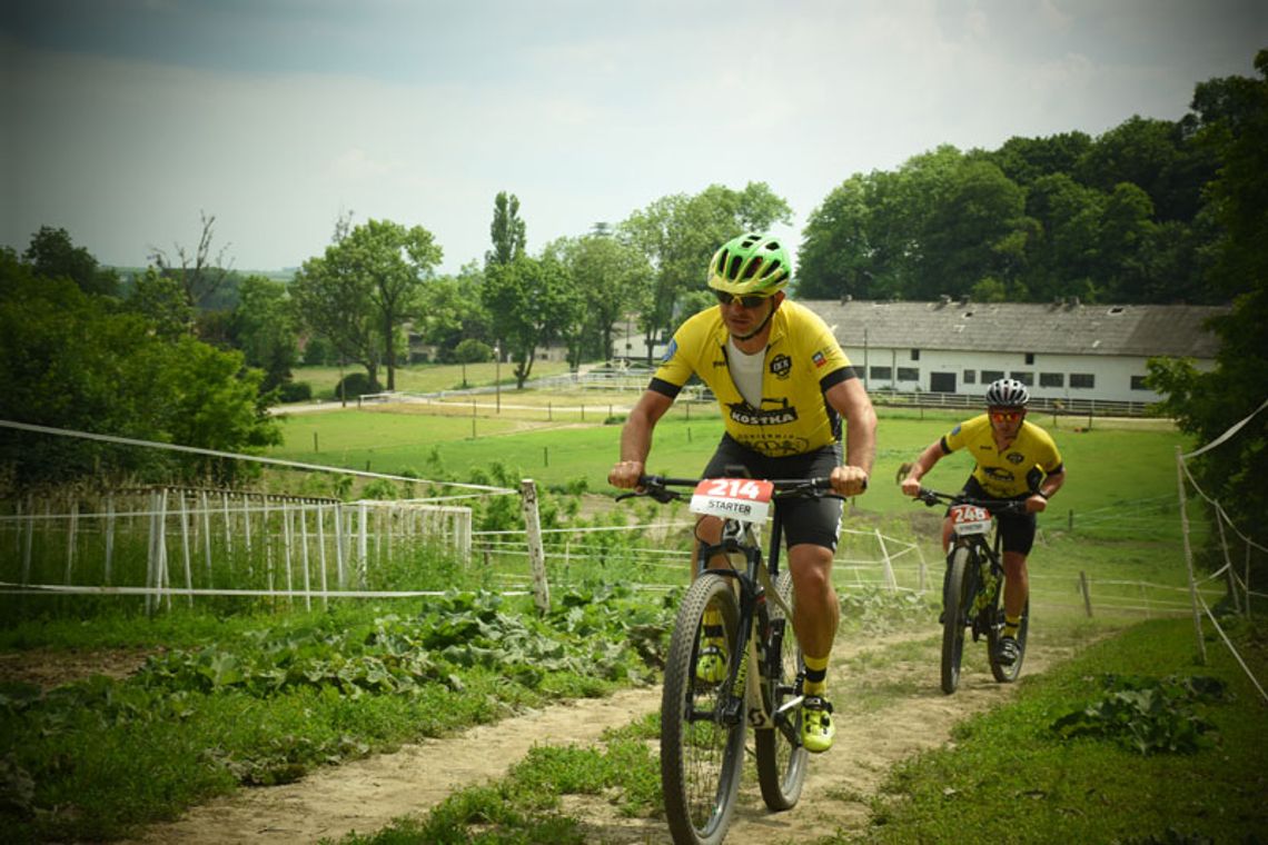 Ścigali się w upale. II Cross Country Zakrzowa za nami. ZDJĘCIA