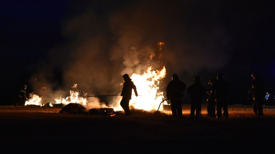 Seria nocnych pożarów zbóż. Podpalacz podłożył ogień w trzech miejscach. ZDJĘCIA